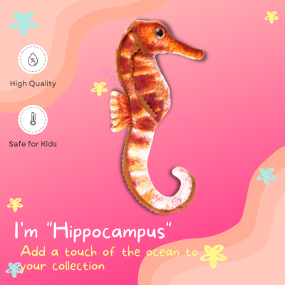 24cm-hippocampus-stuffed-plush-toy