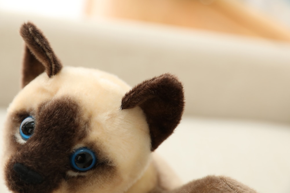 25 40 cm Simulation Cat Plush Toys American Shorthai Siamese Kitty Cute Pet Doll Stuffed Animal 3