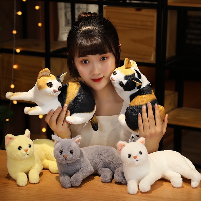 Kawaii Lifelike Cat Plush Toys Doll Soft Baby Toys Stuffed Pure Colors Grey White Yellow Kitten 5